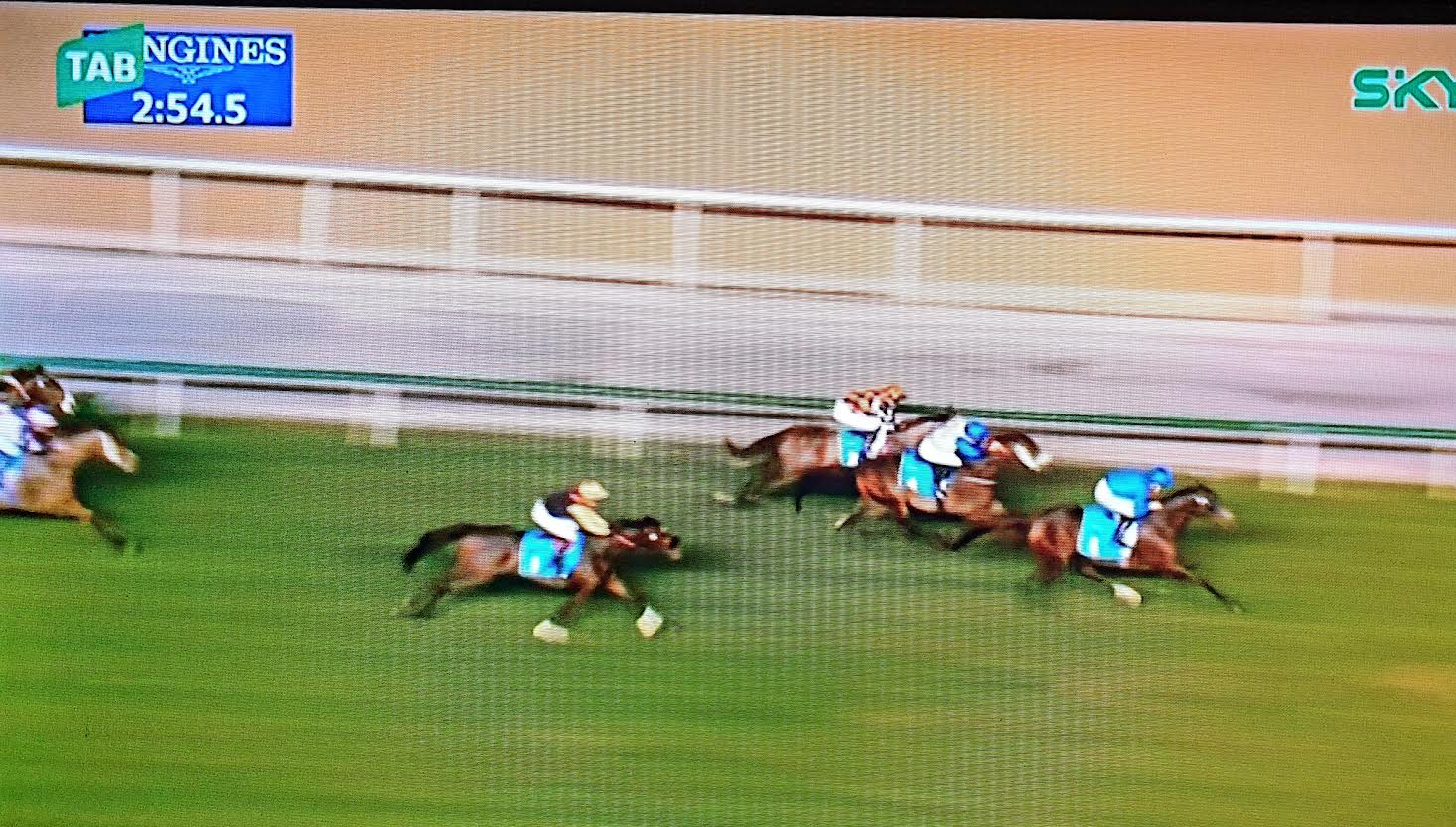 Bennett Racing - Best Horse Racing Syndicates & Racehorse Shares ...