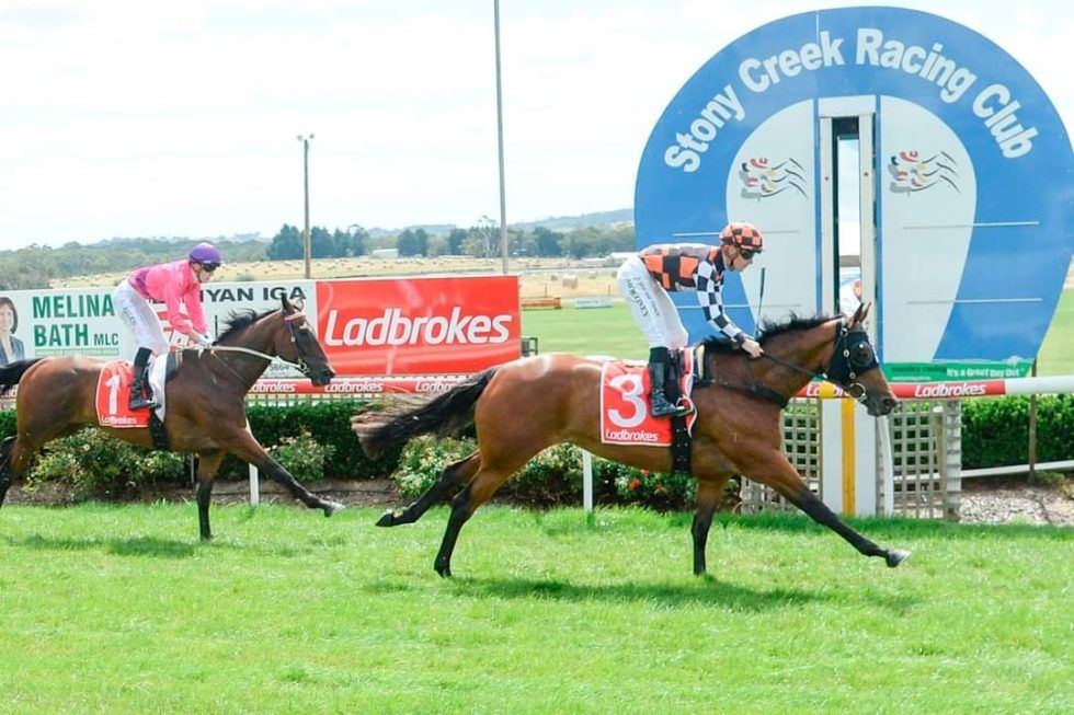 GREAT STAYING EFFORT BY MAID OF IRON - Best Horse Racing Syndicates ...