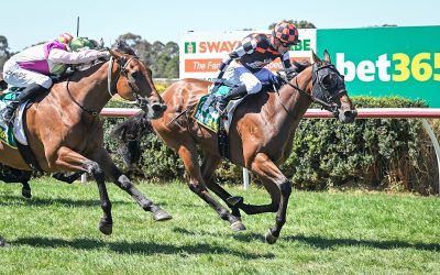 HARD WARRIOR ROMPS AWAY WITH EASY WIN