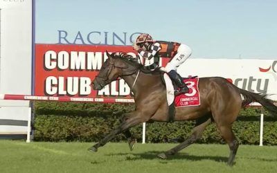 FAWKNER PARK DOES IT EASILY IN ALBURY CUP