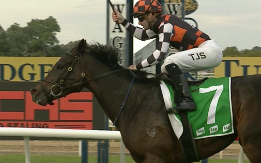 WOW OUTSTANDING WAGGA GOLD CUP WIN FOR FAWKNER PARK