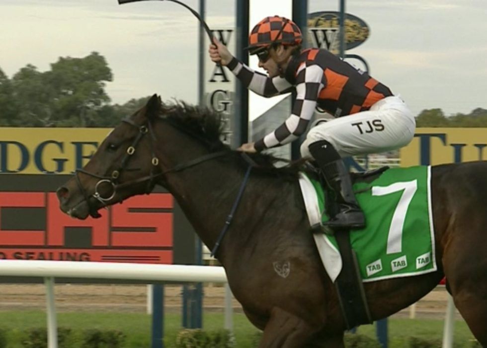WOW OUTSTANDING WAGGA GOLD CUP WIN FOR FAWKNER PARK Best Horse Racing Syndicates & Racehorse