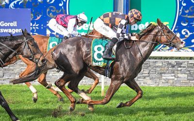 CHEVAL CHIC FINISHES HARD TO WIN