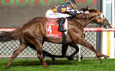 INCREDIBLE 2ND GR1 WIN FOR SOUTHPORT TYCOON