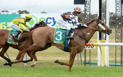 STAY HUMBLE WINS IN A BREEZE AT MURTOA