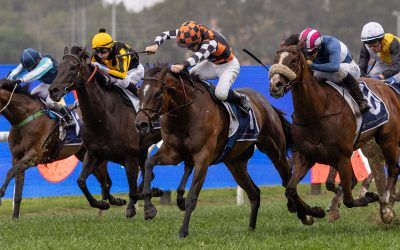 FAWKNER PARK BOUNCES BACK WITH TOUGH WIN