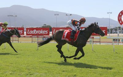 DAYAN STAR DELIVERS AGAIN IN TASSIE