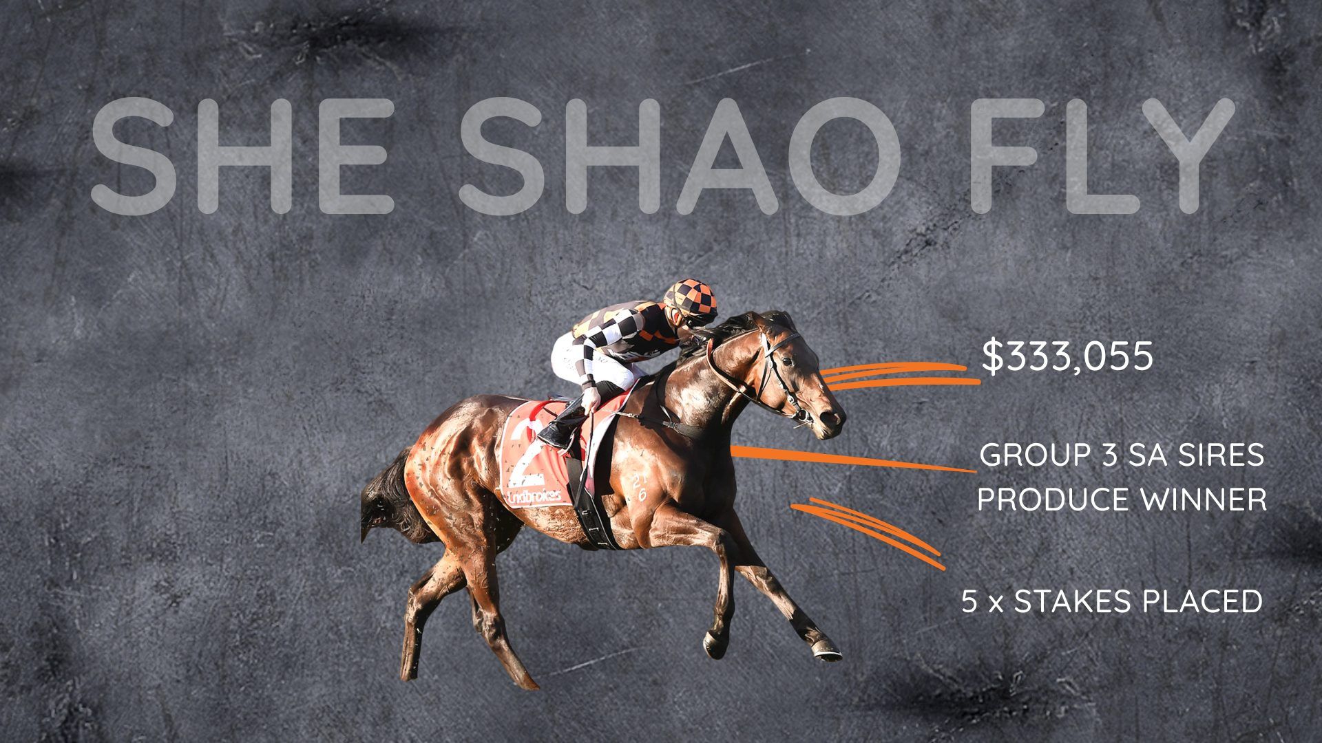 SHE SHAO FLY