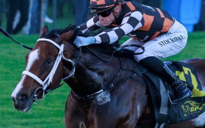 BRILLIANT FRONT RUNNING WIN TO BEAUTY RISING