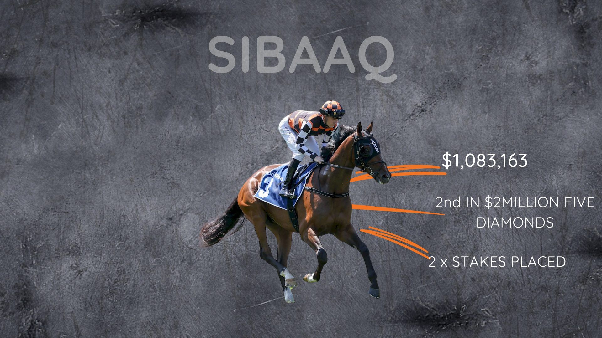 SIBAAQ Bennett Racing - Stable Stars