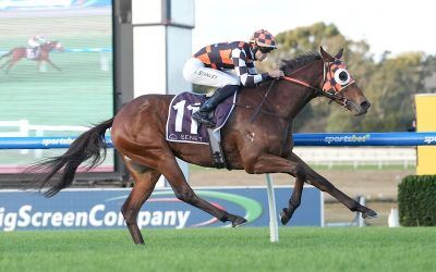 MAGNASPIN BOUNCES BACK WITH A GREAT WIN