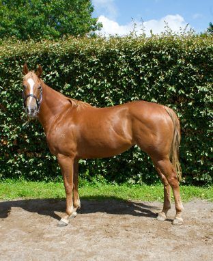 Un-named (Hanseatic - Mrs Whitten) 2023