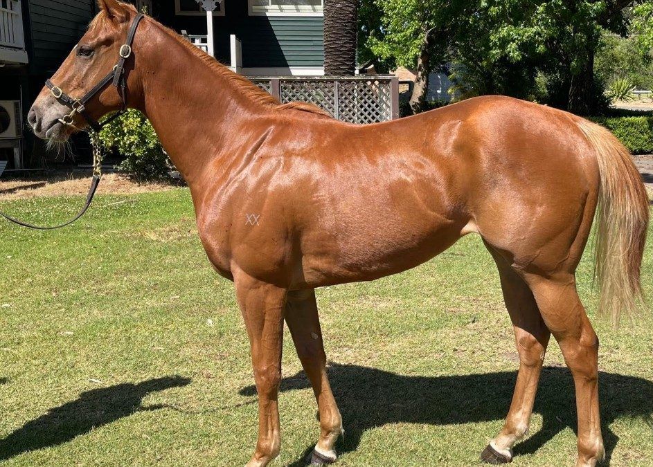 Un-named (Hanseatic – Mrs Whitten) 2023