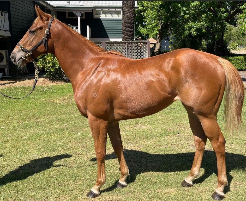 Un-named (Hanseatic – Mrs Whitten) 2023