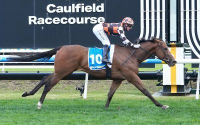 ANOTHER EXPLOSIVE WIN FOR ZOU SENSATION