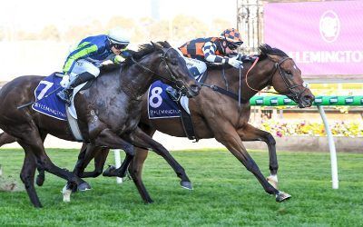 ANOTHER EXPLOSIVE WIN FOR ZOU SENSATION