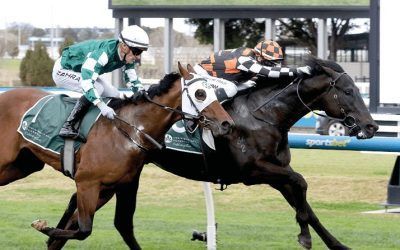 OUTSTANDING WIN BY JIMMY RECARD IN GR3 VAIN STKS