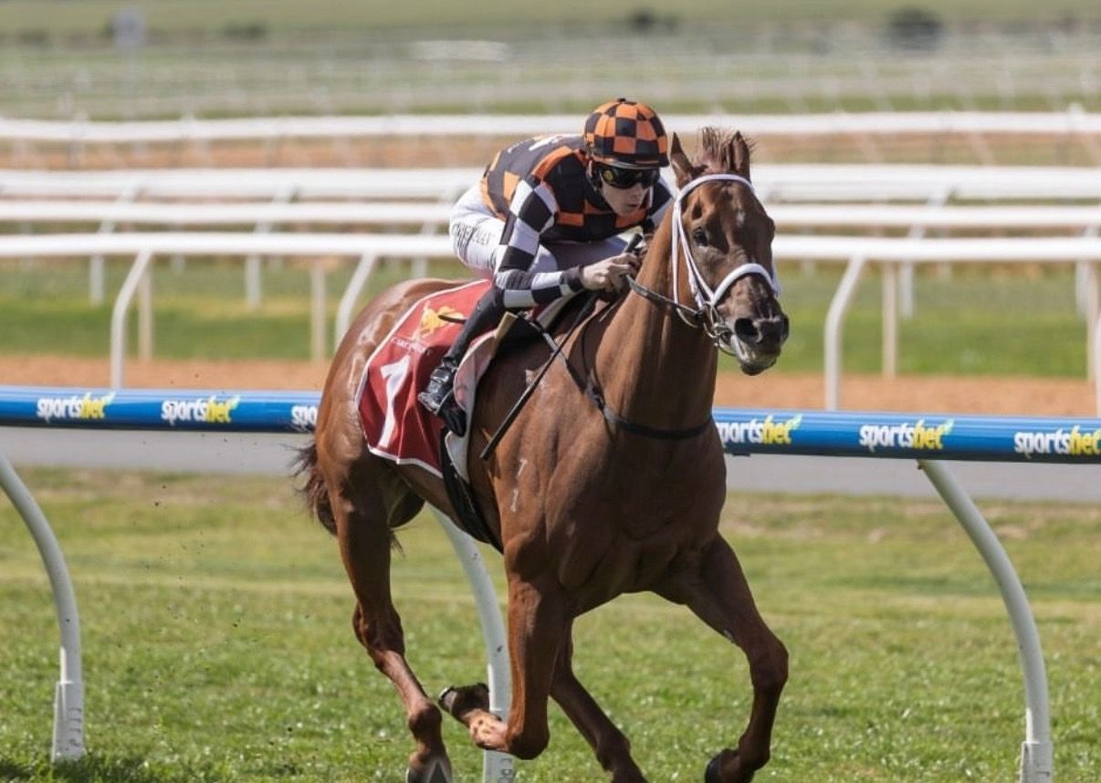 Bennett Racing - Best Horse Racing Syndicates & Racehorse Shares ...