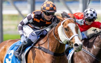 WATADEEL BOLTS IN AT MORPHETTVILLE