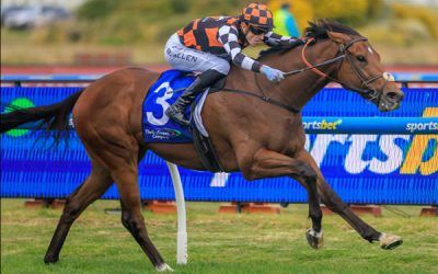 ZOU SENSATION JUST BRILLIANT & GETS HIS 1ST STAKES WIN