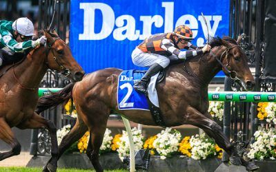 TORNADO VALLEY GR3 MARIBYRNONG BLITZ