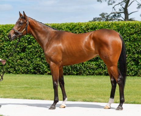 Un-named (Ole Kirk - Touch Of Mink)