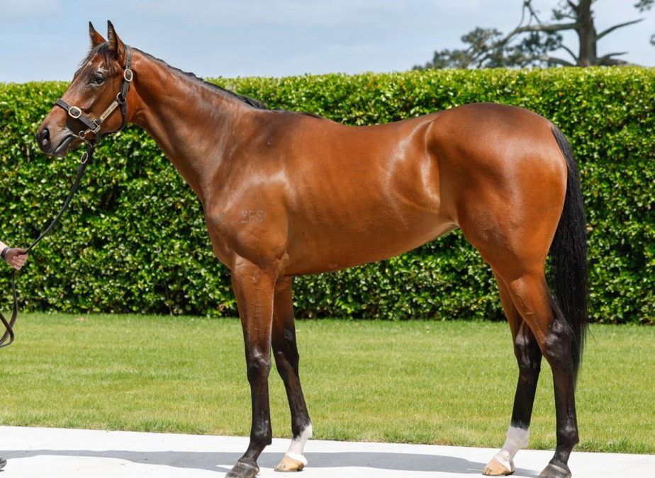 Unnamed Ole Kirk – Touch Of Mink