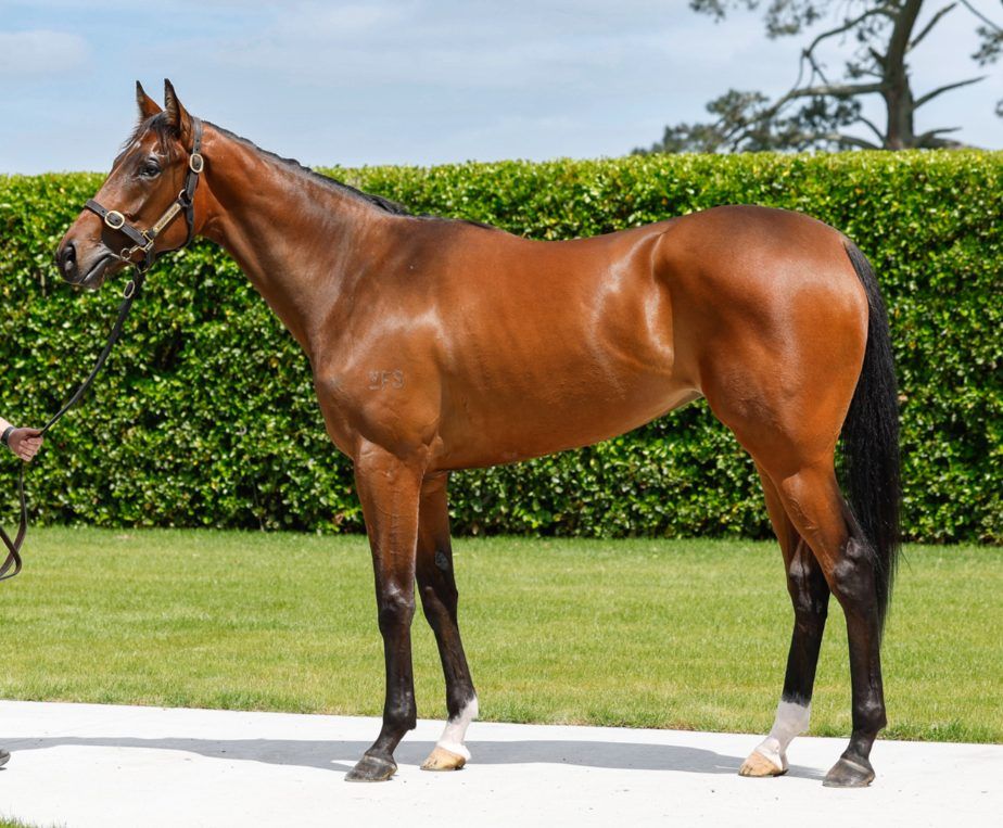 Un-named (Ole Kirk – Touch Of Mink)