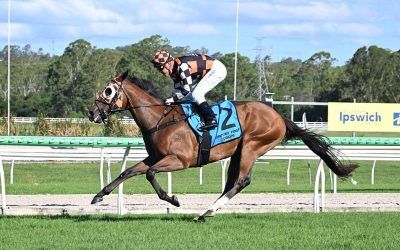 TAJAWAL TOO STRONG TOO CLASSY AT IPSWICH