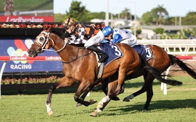 SIBAAQ HITS FORM AND WINS AT EAGLE FARM