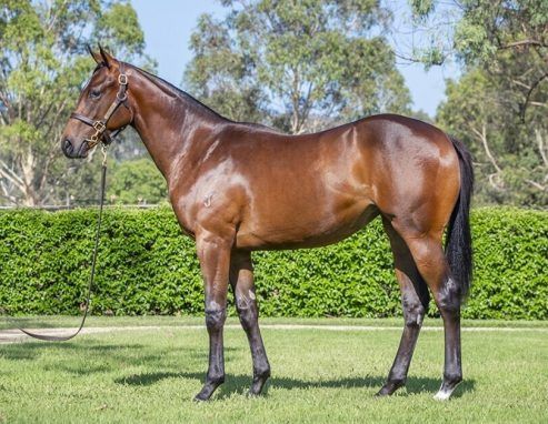 Un-named (Hellbent - Aquamosa)