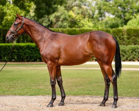 Un-named (Farnan - Precious Pasquelle)