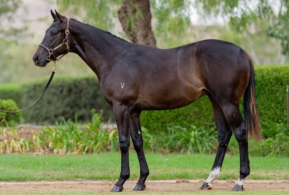 Un-named (Stay Inside – Turbo Miss)