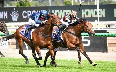 ZOU SENSATION ENDS 2025 WITH THRILLING KENSINGTON WIN