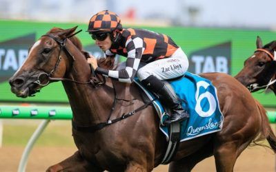 SNITZANOVA BLITZ IN 1MIL MAGIC MILLIONS SUBZERO