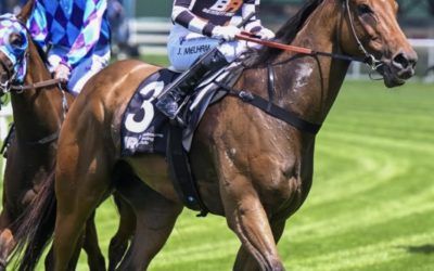 MAGNASPIN TOO STRONG AT CAULFIELD