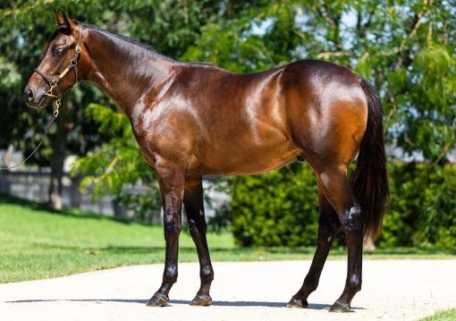 Un-named (Too Darn Hot - Light Up The Room)