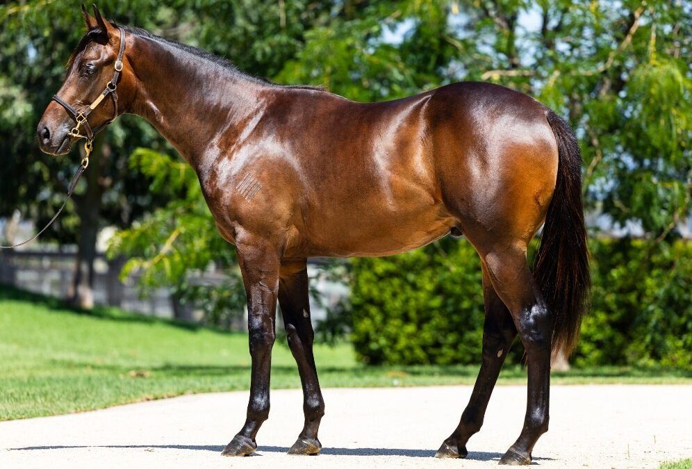 Un-named (Too Darn Hot – Light Up The Room)