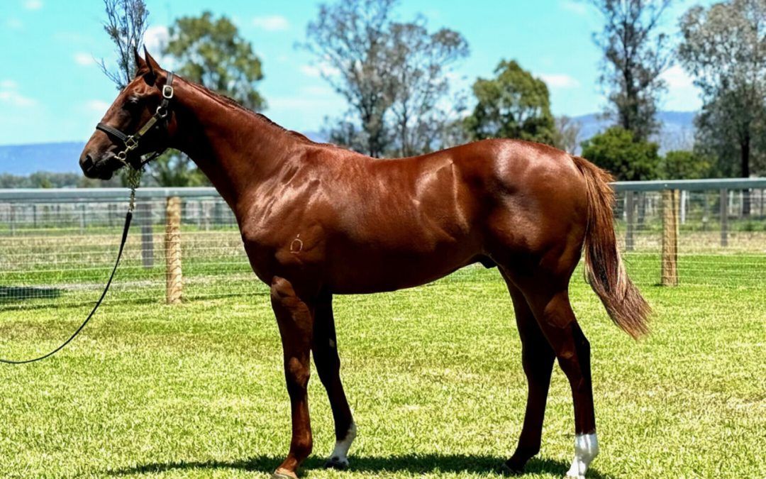 Un-named (Harry Angel – Too Easy Sis)