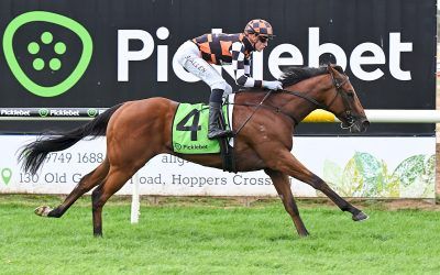 PURPLE STREAK DEMOLISHES HIS RIVALS ON DEBUT