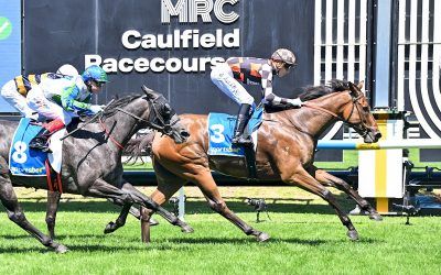 MAGNASPIN CRACKS 1 MIL WITH VICTORIA GOLD CUP SUCCESS