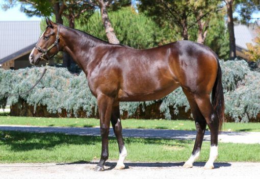 Un-named (Ole Kirk - She Shao Fly)