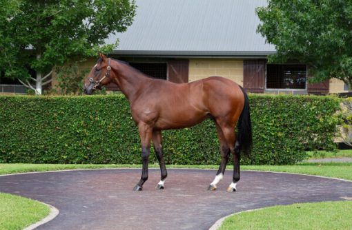 Un-named (Hitotsu - Angel Of Mercy)