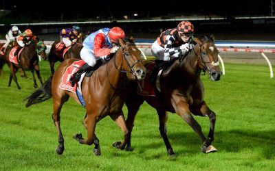 STAY SILENT TOO TOUGH TOO STRONG AT CRANBOURNE