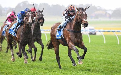 STAY SILENT TOO TOUGH TOO STRONG AT SANDOWN