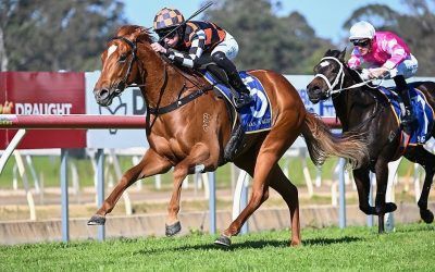 THE THORNCASTER IMPRESSIVE IN 1ST UP WIN