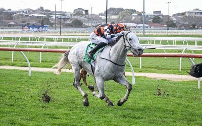 STAR ROTATION SWOOPS DOWN THE OUTSIDE TO WIN AT WARNAMBOOL
