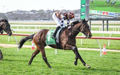CAPTAIN REDBEARD SAILS AWAY FOR EASY MAIDEN WIN