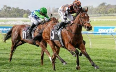 WARNIE WEAVES HIS MAGIC IN THE CHAUTAUQUA STKS