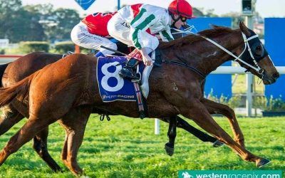 Class Prevails as Supposition Delivers